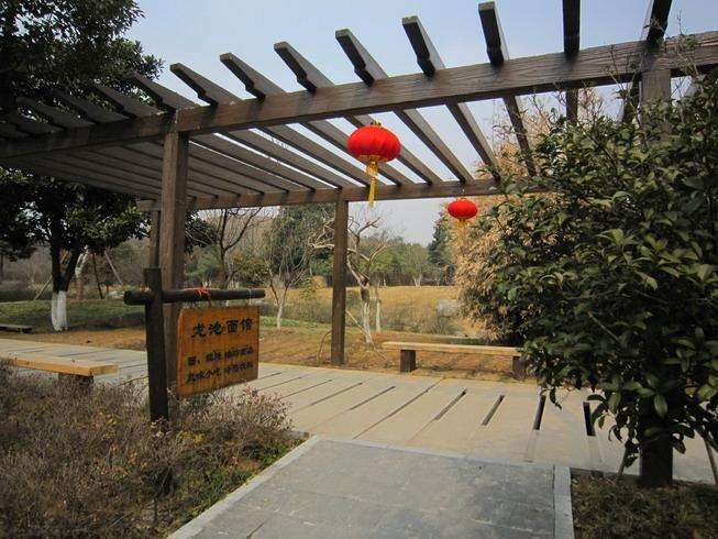 重庆仿木葡萄架